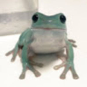 Meet your Posher, Sienna